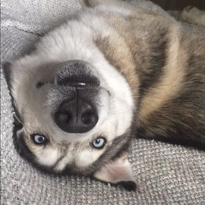 Meet your Posher, Jack